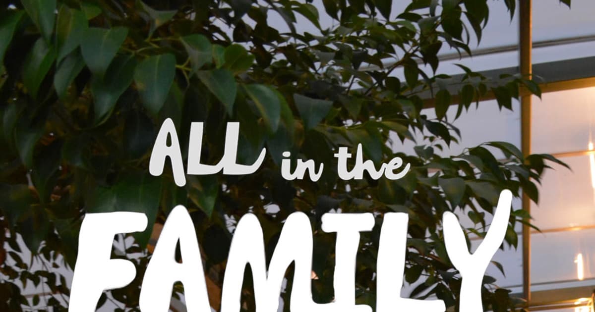 All in the family djs background